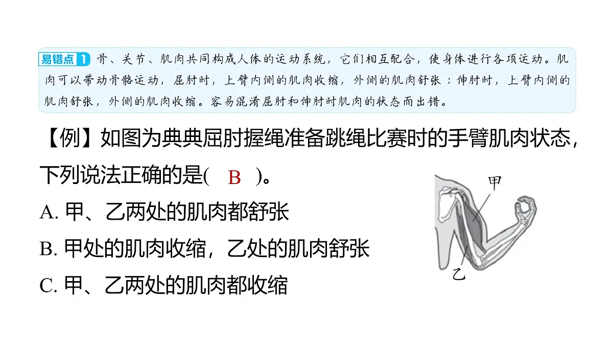 2025年教科版五年级科学上册第四单元 健康生活 综合素养提优（复习课件）第6页