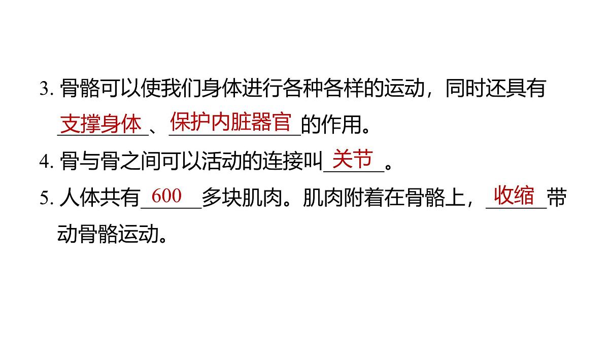 2025年教科版五年级科学上册第四单元 健康生活 （复习课件）第6页