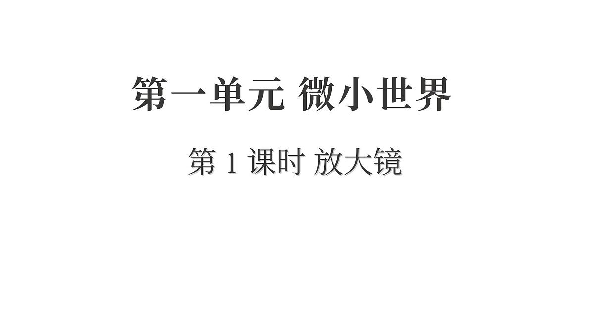2025年教科版六年级科学上册 1.1 放大镜（复习课件）第1页