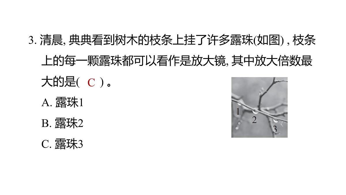 2025年教科版六年级科学上册 1.1 放大镜（复习课件）第4页