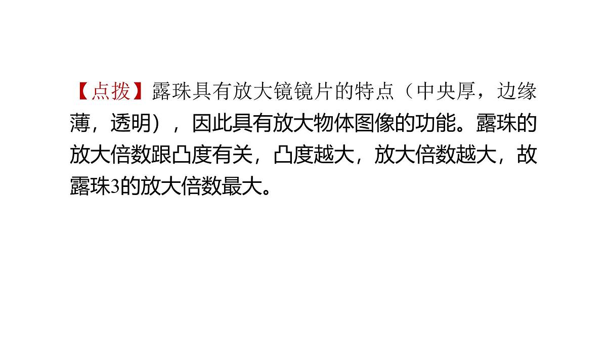 2025年教科版六年级科学上册 1.1 放大镜（复习课件）第5页