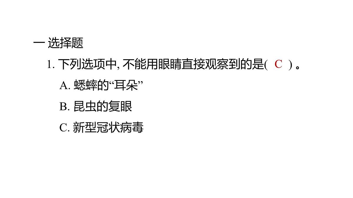 2025年教科版六年级科学上册 1.2 怎样放得更大（复习课件）第2页