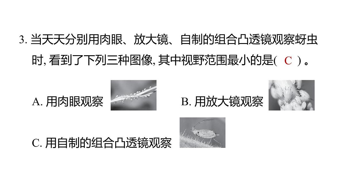 2025年教科版六年级科学上册 1.2 怎样放得更大（复习课件）第4页