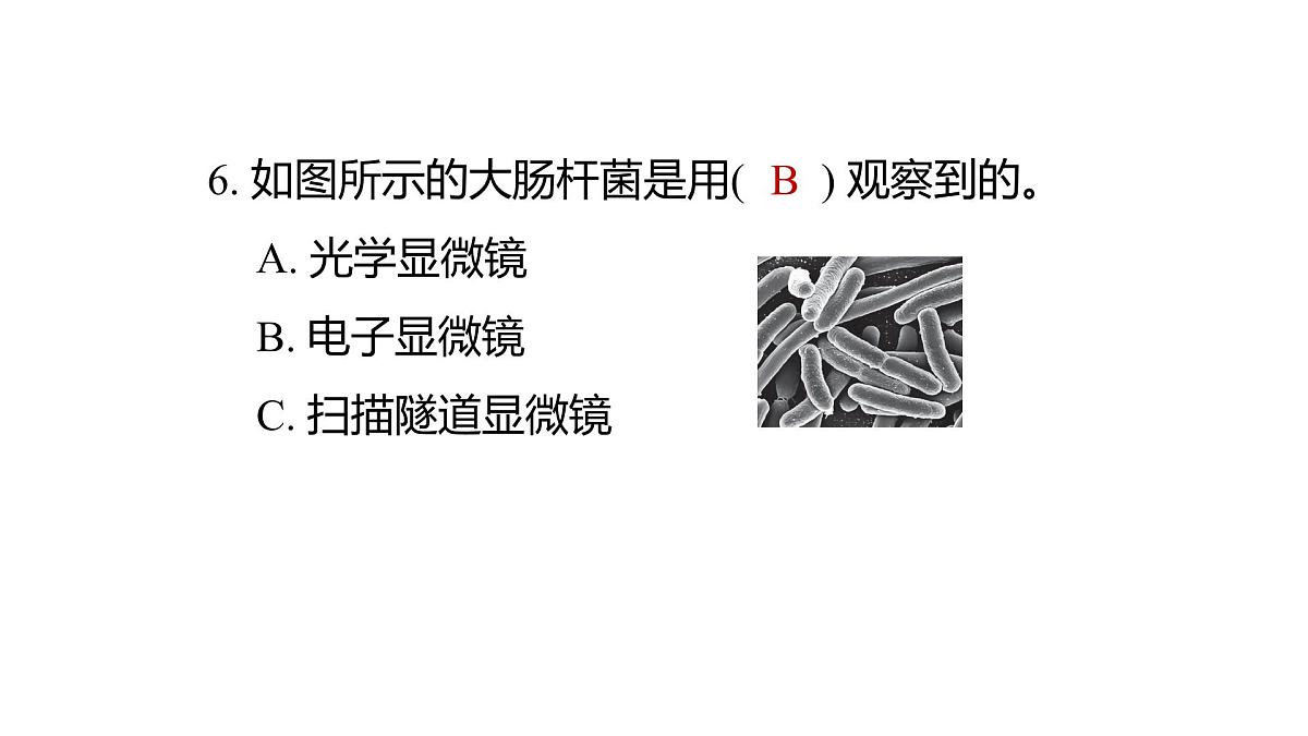 2025年教科版六年级科学上册 1.2 怎样放得更大（复习课件）第7页