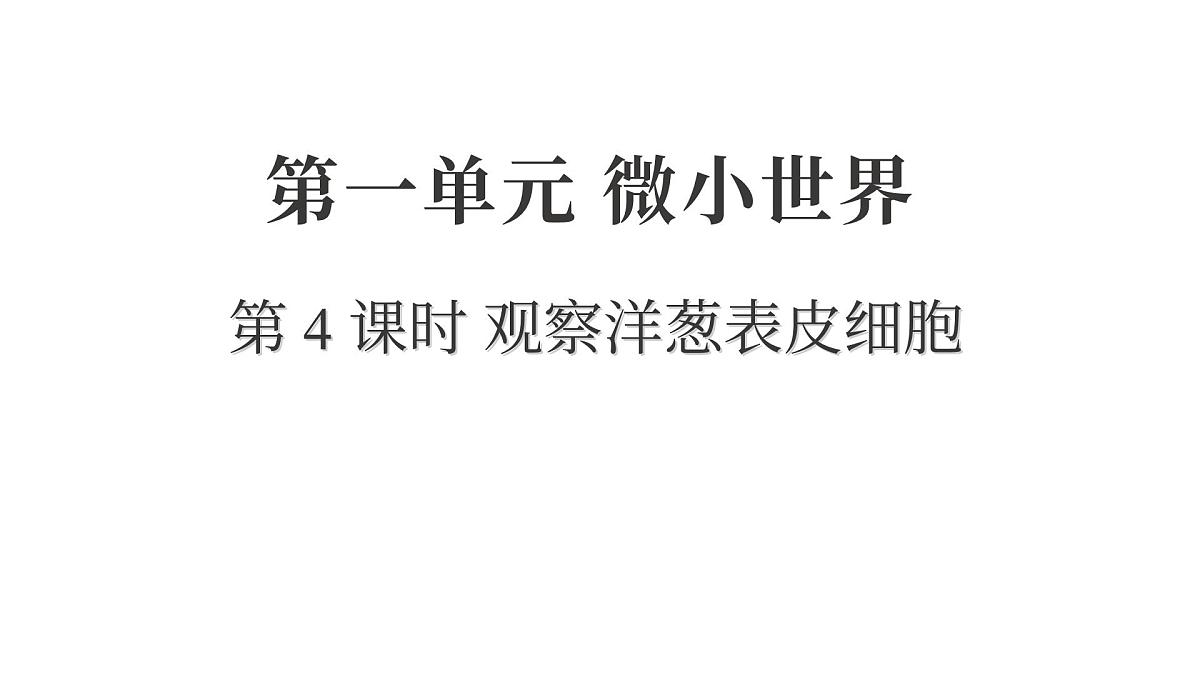 2025年教科版六年级科学上册 1.4 观察洋葱表皮细胞（复习课件）第1页
