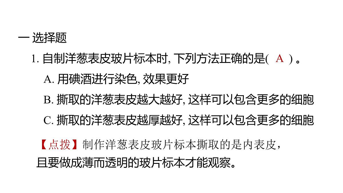 2025年教科版六年级科学上册 1.4 观察洋葱表皮细胞（复习课件）第2页