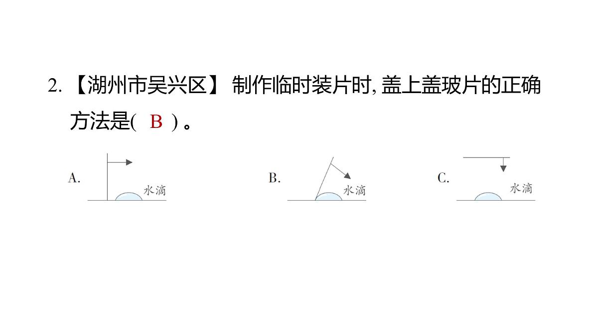 2025年教科版六年级科学上册 1.4 观察洋葱表皮细胞（复习课件）第3页