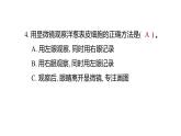 2025年教科版六年级科学上册 1.4 观察洋葱表皮细胞（复习课件）