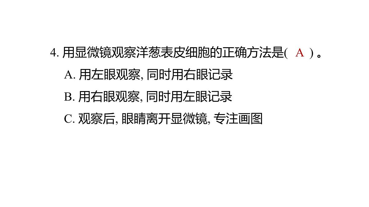 2025年教科版六年级科学上册 1.4 观察洋葱表皮细胞（复习课件）第5页