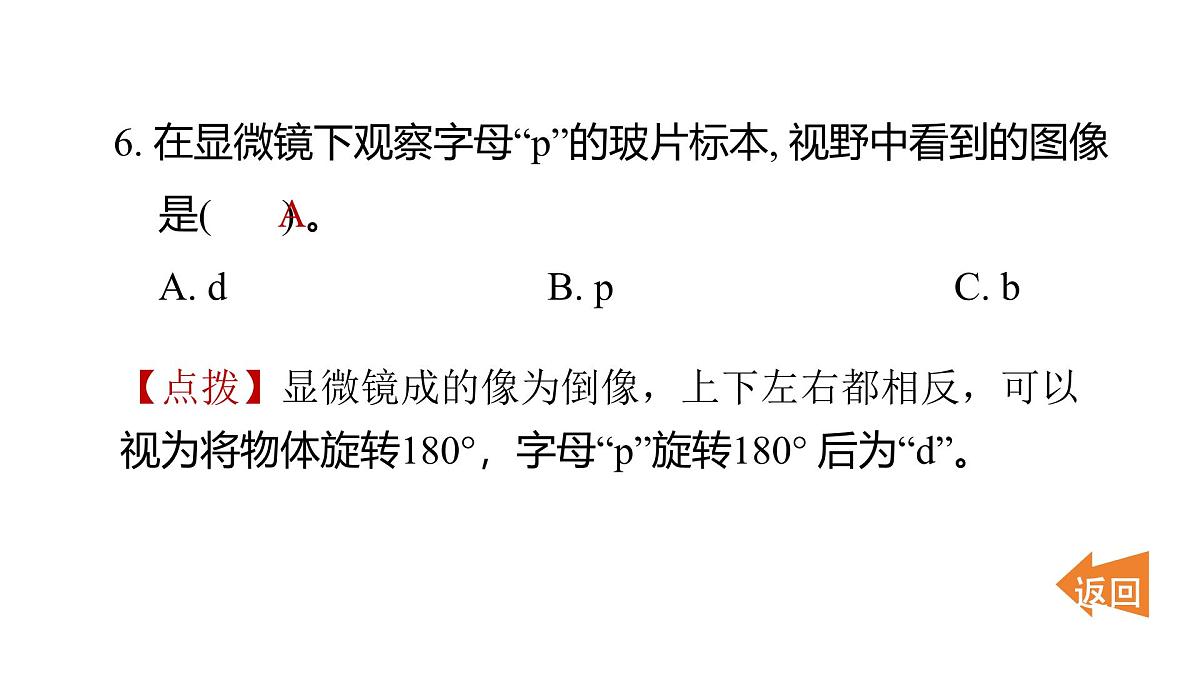 2025年教科版六年级科学上册 1.4 观察洋葱表皮细胞（复习课件）第7页