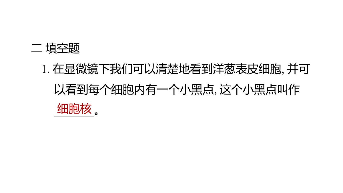 2025年教科版六年级科学上册 1.4 观察洋葱表皮细胞（复习课件）第8页