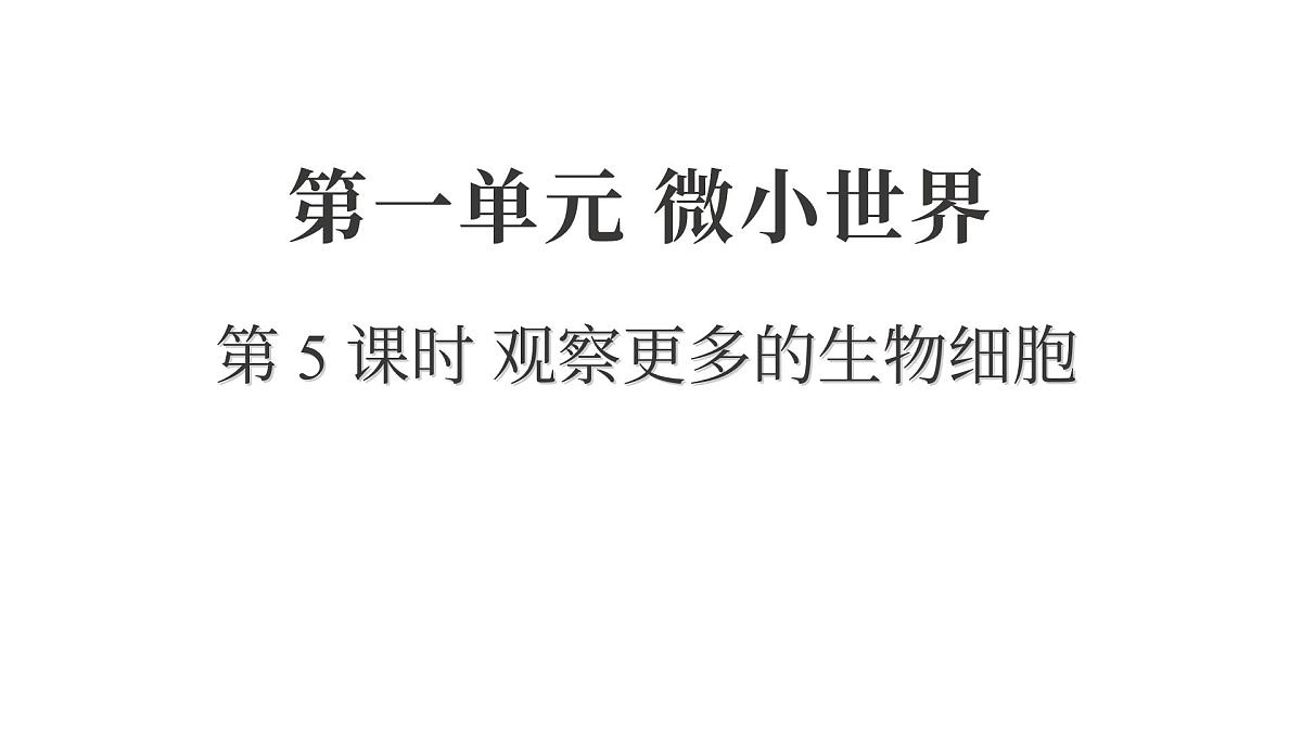 2025年教科版六年级科学上册 1.5 观察更多的生物细胞（复习课件）第1页