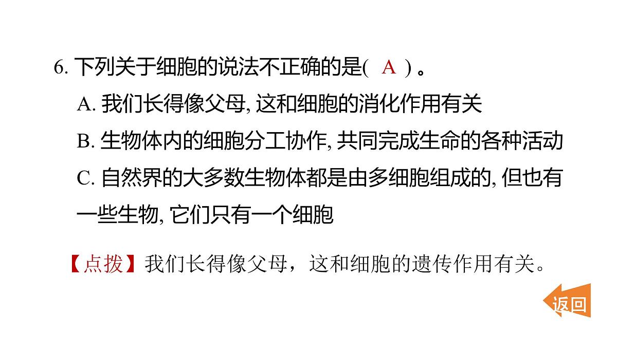 2025年教科版六年级科学上册 1.5 观察更多的生物细胞（复习课件）第7页