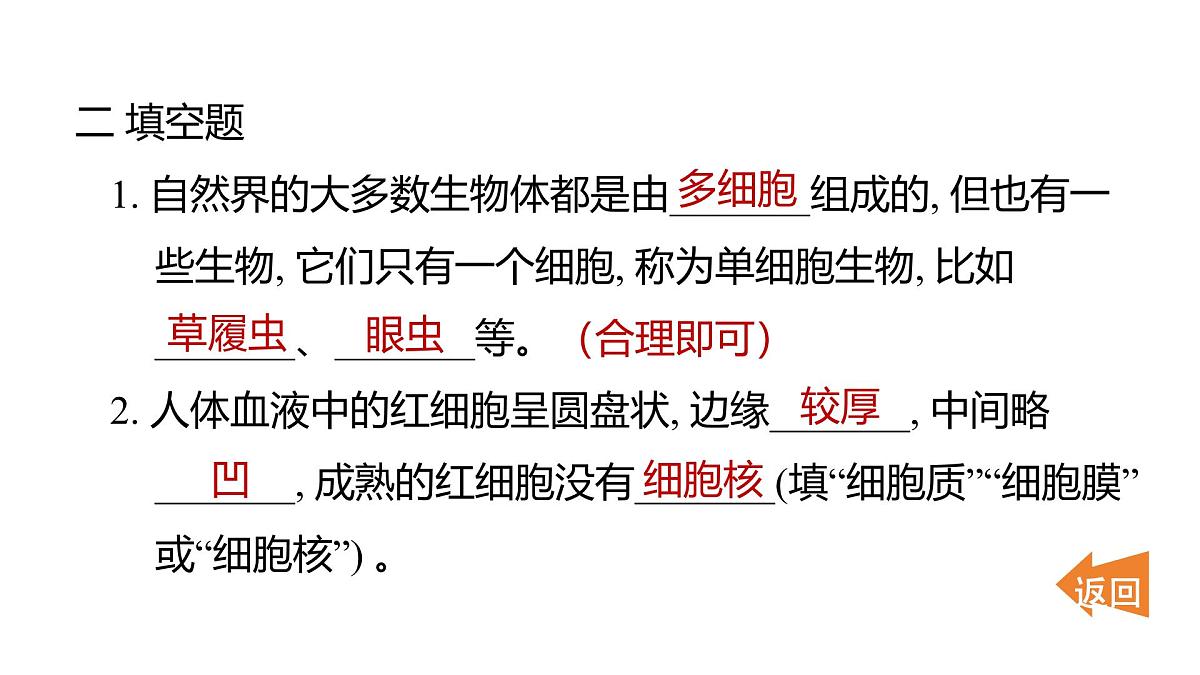 2025年教科版六年级科学上册 1.5 观察更多的生物细胞（复习课件）第8页
