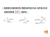 2025年教科版六年級科學上冊 第一單元 微小世界重點實驗提優(yōu)練（復習課件）