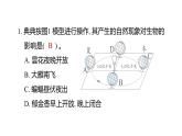2025年教科版六年級科學(xué)上冊 第二單元 地球的運(yùn)動 重點(diǎn)實(shí)驗(yàn)提優(yōu)練（復(fù)習(xí)課件）