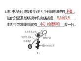 2025年教科版六年級科學(xué)上冊 第三單元 工具與技術(shù)重點(diǎn)實(shí)驗(yàn)提優(yōu)練（復(fù)習(xí)課件）
