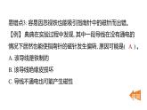 2025年教科版六年級科學(xué)上冊 第四單元 能量易錯易混提優(yōu)練（復(fù)習(xí)課件）