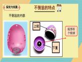 人教鄂教版科學(xué)一年級上冊 不倒翁2025最新課件