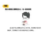 蘇教版（2024）科學(xué)三年級(jí)上冊(cè) 1.2 不同的土壤（課件）