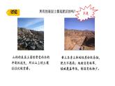 蘇教版（2024）科學(xué)三年級(jí)上冊(cè) 1.3 肥沃的土壤（課件）