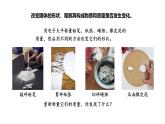 蘇教版（2024）科學(xué)三年級(jí)上冊(cè) 2.6 認(rèn)識(shí)固體（課件）