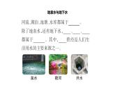 蘇教版（2024）科學(xué)三年級(jí)上冊(cè) 3.10 地下水（課件）