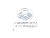 蘇教版（2024）科學(xué)三年級(jí)上冊(cè) 3.10 地下水（課件）