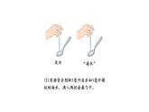 蘇教版（2024）科學(xué)三年級(jí)上冊(cè) 3.11 海洋（課件）