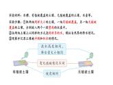 蘇教版（2024）科學(xué)三年級(jí)上冊(cè) 1.4 植被與土壤（課件）