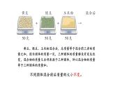 蘇教版（2024）科學(xué)三年級(jí)上冊(cè) 2.7 固體的混合與分離（課件）