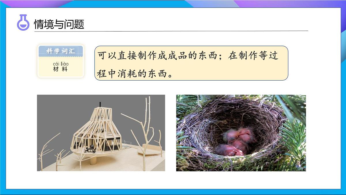 【任务型备课】教科版科学二上-1.1 动物的“家”（课件）第6页