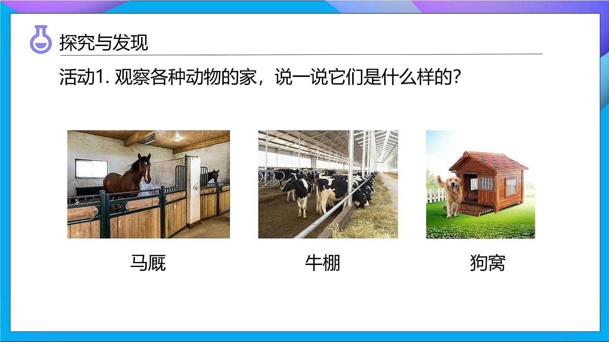 【任务型备课】教科版科学二上-1.1 动物的“家”（课件）第8页