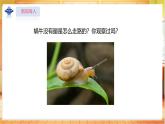 【蘇教版】一上科學  1.1《小小科學家》課件+教案+素材