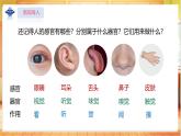 【蘇教版】一上科學(xué)  2.5《借助工具觀察》課件+教案+素材