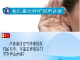 教科版小學(xué)科學(xué)四年級(jí)上冊(cè) 1.4《我們是怎樣聽到聲音的》課件+素材+教案