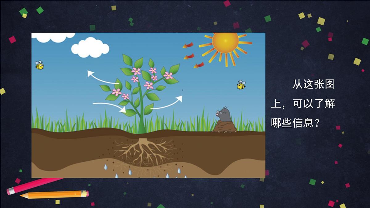 4.7 能量从哪里来-课件01第4页
