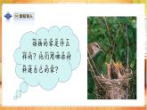 【教科版】二上科學(xué)  1.1《動(dòng)物的家》課件+教案