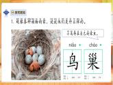 【教科版】二上科學(xué)  1.1《動(dòng)物的家》課件+教案