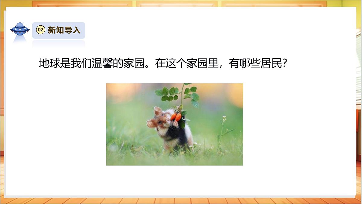 4.10《形形色色的动物》课时课件第4页