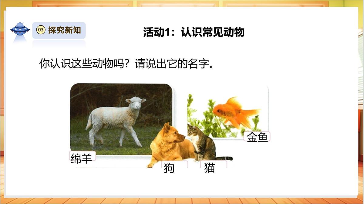 4.10《形形色色的动物》课时课件第6页