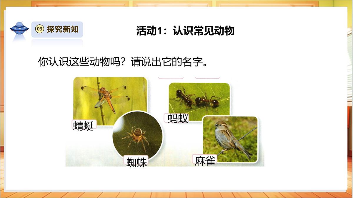 4.10《形形色色的动物》课时课件第7页