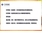 【蘇教版】一年級下冊科學(xué)  4.11《多姿多彩的植物》課件+教案