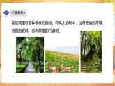 【蘇教版】一年級下冊科學(xué)  4.11《多姿多彩的植物》課件+教案