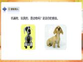 【蘇教版】一年級(jí)下冊(cè)科學(xué)  4.12《動(dòng)物與植物》課件+教案