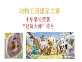 2025年教科版二年級(jí)科學(xué)上冊 1《動(dòng)物的家》課件