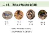 2025年教科版二年級(jí)科學(xué)上冊 1《動(dòng)物的家》課件