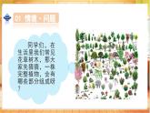 【核心素养目标】粤教粤科版三上科学  1.1 一株植物（教学课件+教学设计+分层练习）