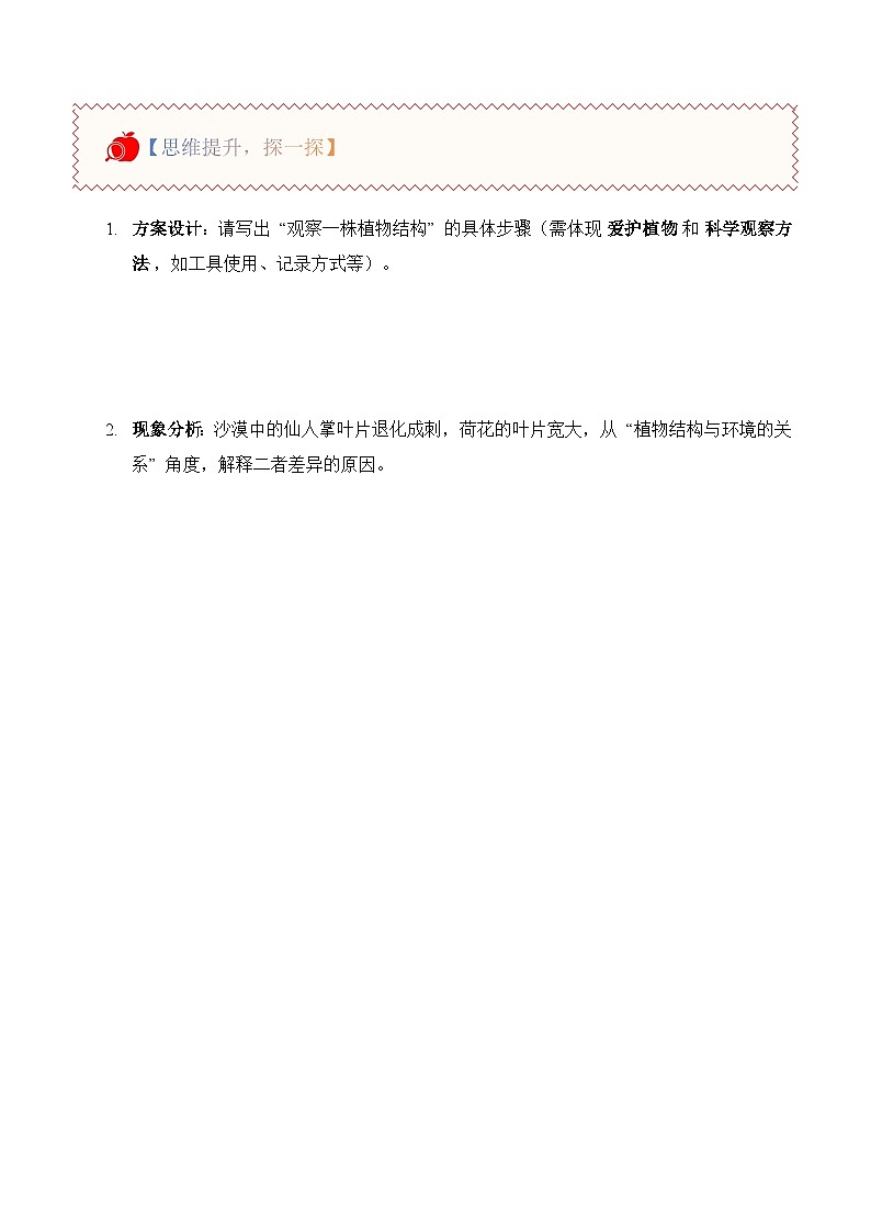 1.1 一株植物（分层作业）科学粤教粤科版三年级上册（新教材）第2页