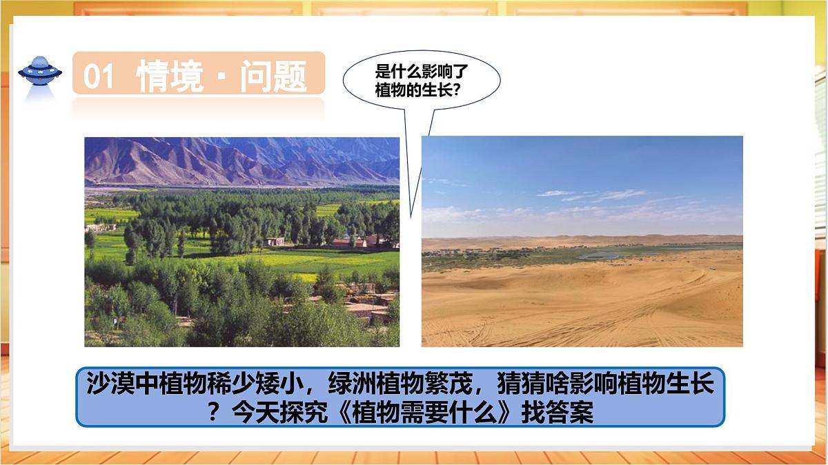 1.2 植物需要什么（教学课件）科学粤教粤科版三年级上册（新教材）第5页